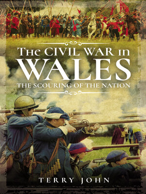 cover image of The Civil War in Wales